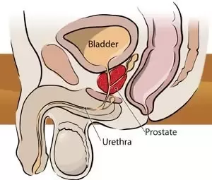 asya miller recommends prostate stimulation stories pic