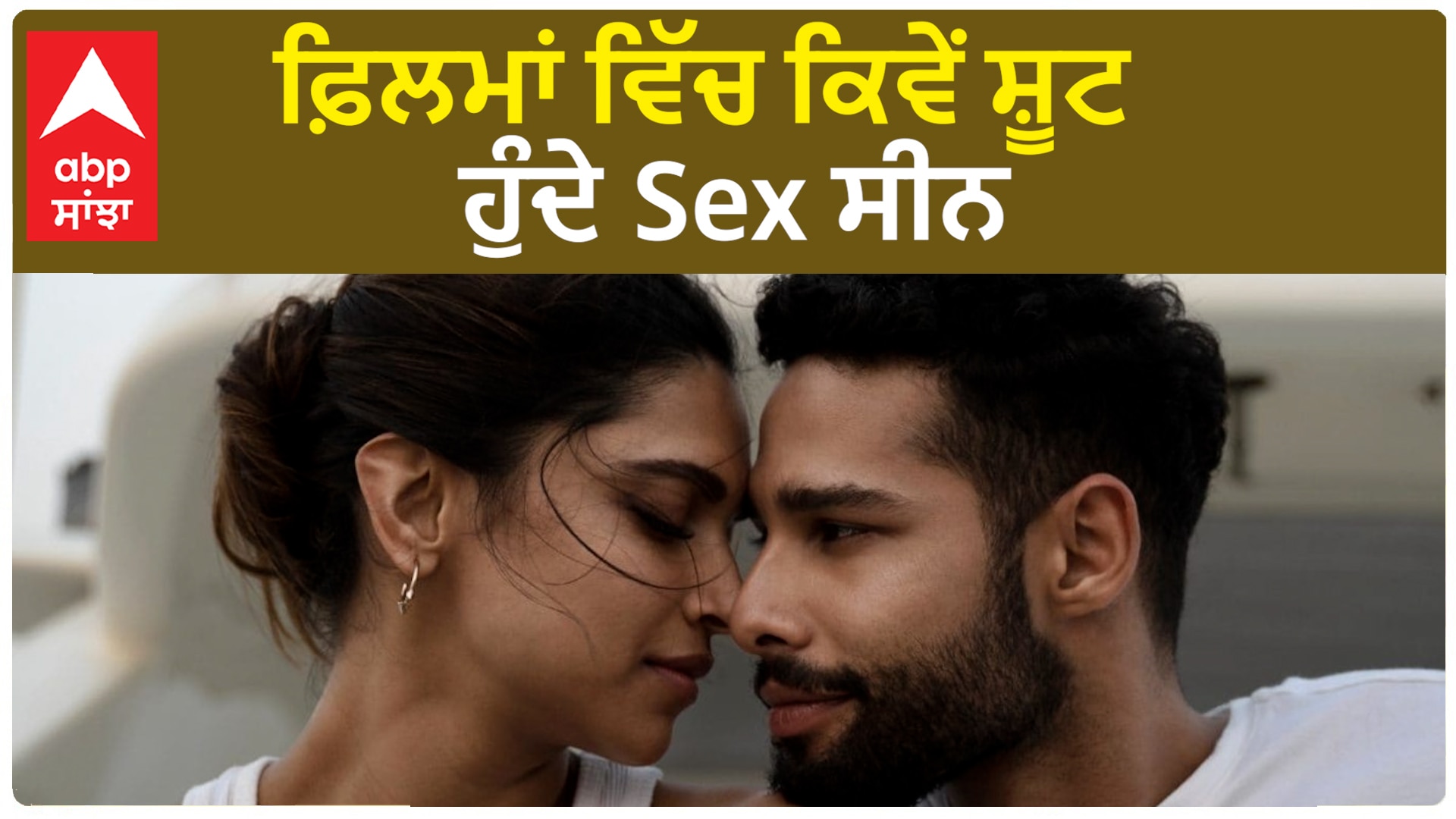 punjabi sexsi video