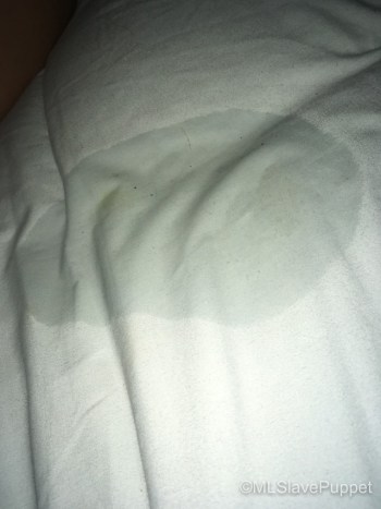 digger dedog recommends squirt on bed sheet pic