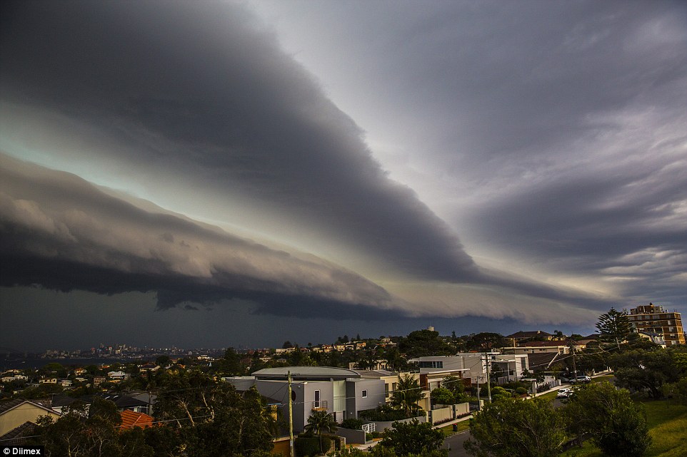 sydney hail porn fuck ebony sydney hail porn