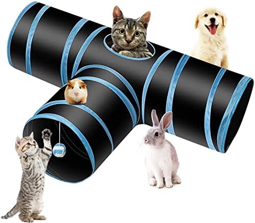 avnish kapoor recommends Tube Kitty Com